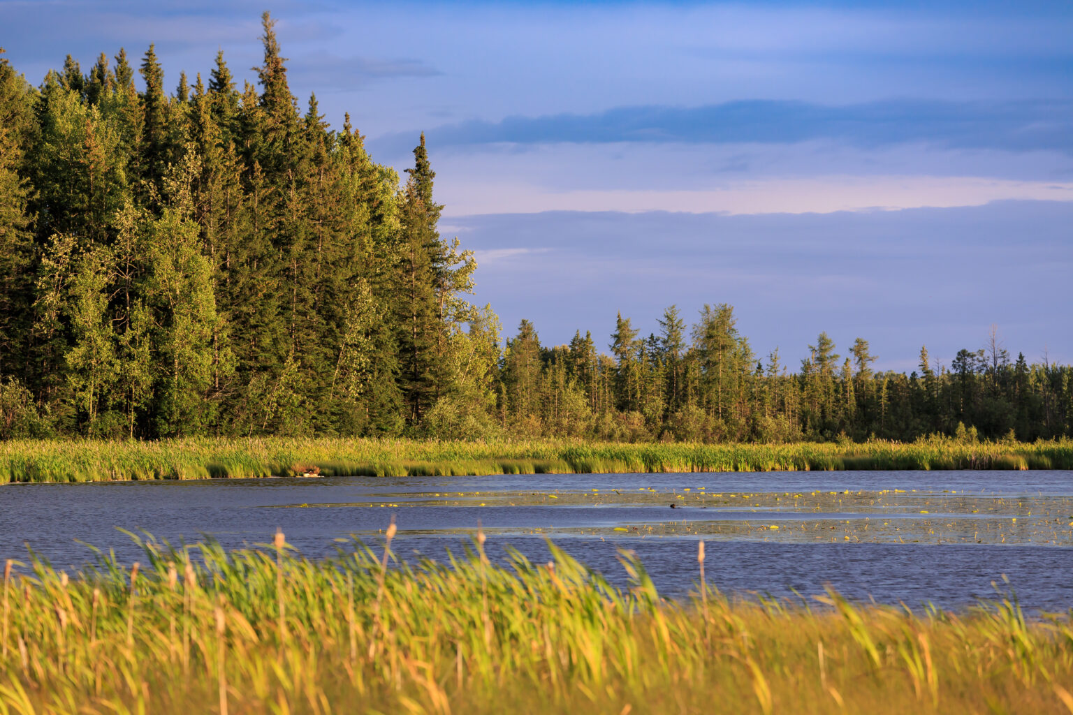 Gleniffer Lake Properties Alberta, Lake Lots, Cabins for Sale in Alberta